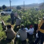 Estudiantes de Zacatecas realizan recorrido en huertas de Calvillo