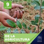 9 de septiembre | Día Mundial de la Agricultura 🧑🏻‍🌾🌱