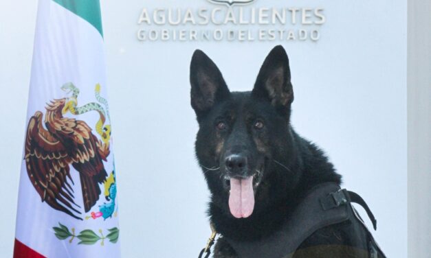 CON HONORES SE JUBILAN CINCO HÉROES K9 TRAS UNA VIDA DE SERVICIO Y ENTREGA A AGUASCALIENTES